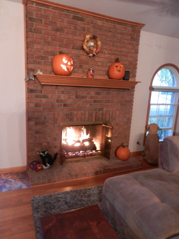 2869 Aster Ln, Darien, IL 60561 photo 11