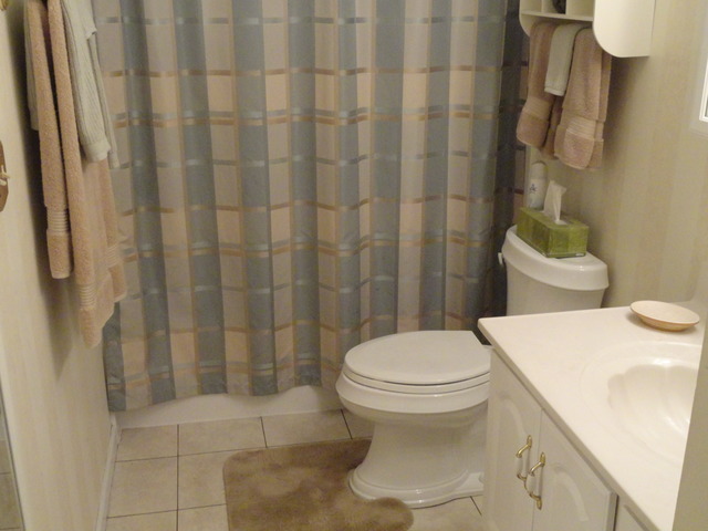 838 Springfield Dr, Roselle, IL 60172 photo 8