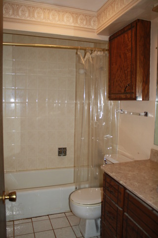 248 79th St, Willowbrook, IL 60527 photo 5
