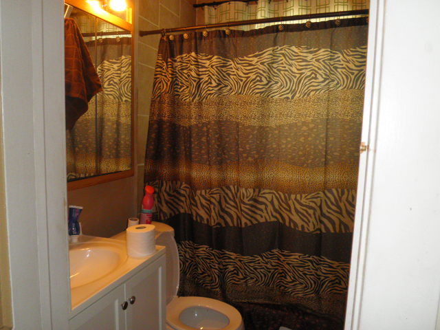72 S Union St, Elgin, IL 60123 photo 11