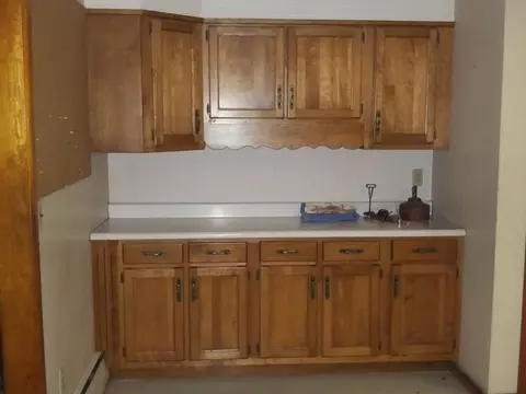 307 E Thompson St, Princeton, IL 61356 photo 4