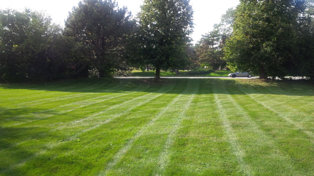 20212 Oregon Trl, Olympia Fields, IL 60461 photo 5