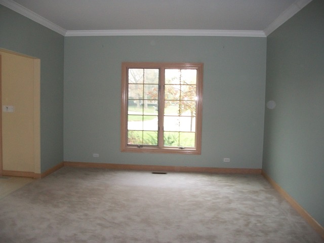 20212 Oregon Trl, Olympia Fields, IL 60461 photo 4