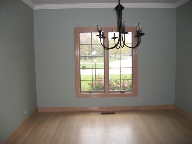 20212 Oregon Trl, Olympia Fields, IL 60461 photo 3