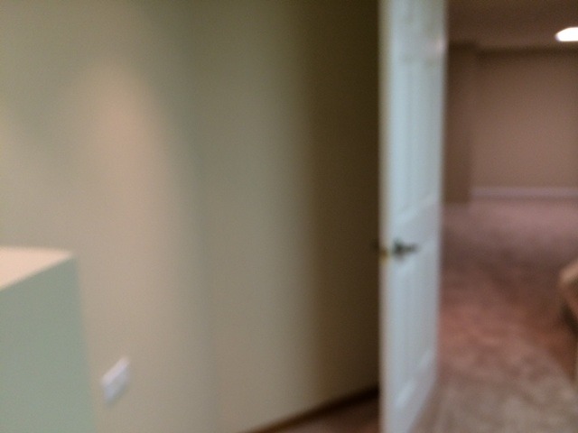 662 Hazel Nut Ct, Bartlett, IL 60103 photo 17