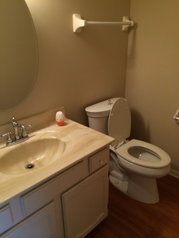 662 Hazel Nut Ct, Bartlett, IL 60103 photo 11