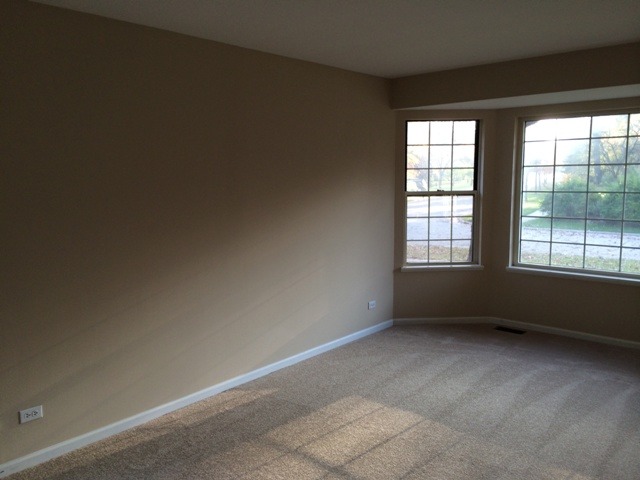 662 Hazel Nut Ct, Bartlett, IL 60103 photo 5