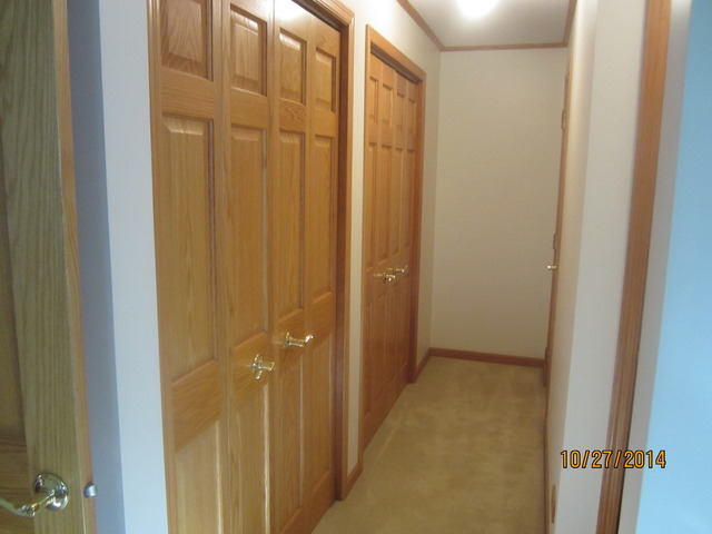 233 King Arthur Ct, Elgin, IL 60120 photo 20