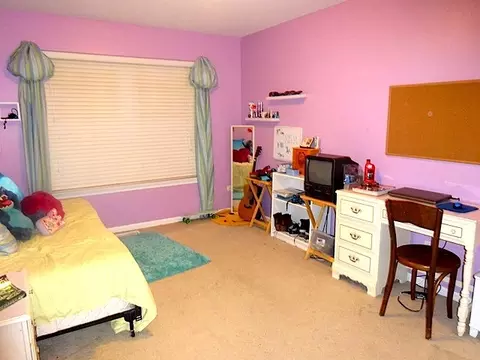 1923 Carlton Dr, Plainfield, IL 60586 photo 22