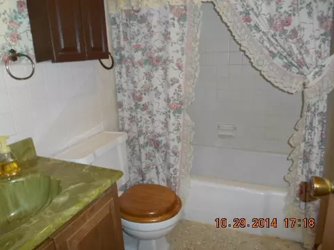 111 W 5th St, Spring Valley, IL 61362 photo 7