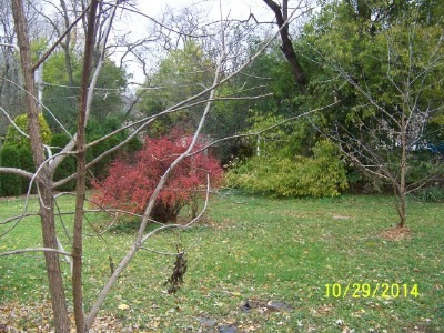 4420 Linden Ave, Algonquin, IL 60102 photo 4