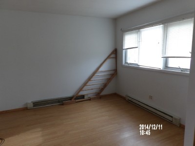 4420 Linden Ave, Algonquin, IL 60102 photo 10