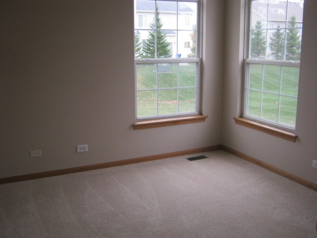 117 Rushmore Dr, Bartlett, IL 60103 photo 9