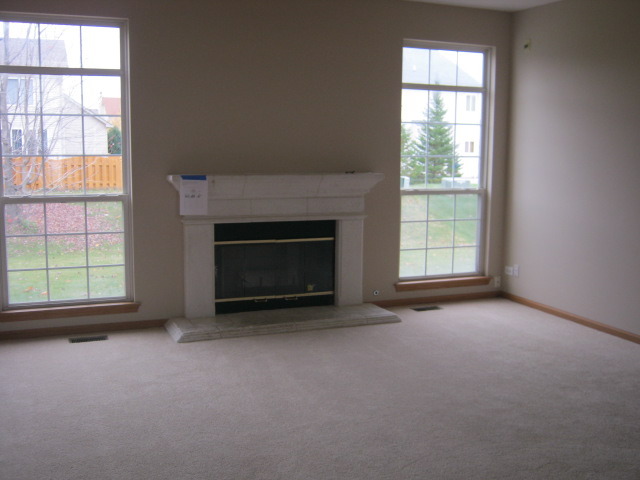 117 Rushmore Dr, Bartlett, IL 60103 photo 4