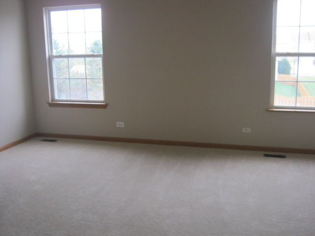 117 Rushmore Dr, Bartlett, IL 60103 photo 17