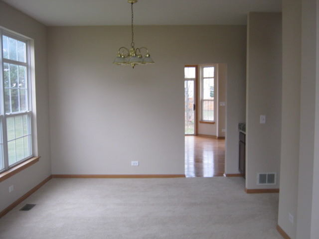 117 Rushmore Dr, Bartlett, IL 60103 photo 2