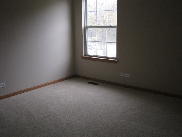 117 Rushmore Dr, Bartlett, IL 60103 photo 13