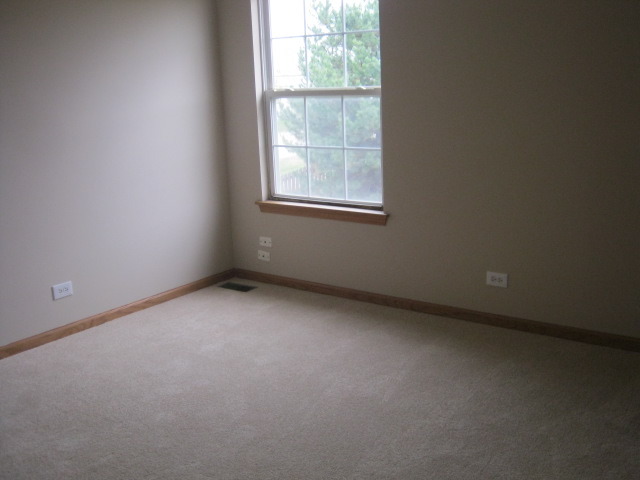 117 Rushmore Dr, Bartlett, IL 60103 photo 14