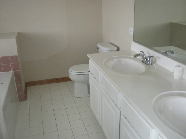 117 Rushmore Dr, Bartlett, IL 60103 photo 18
