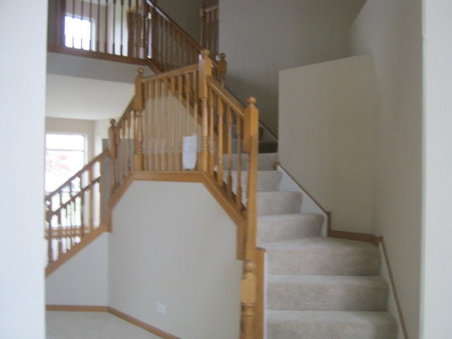 117 Rushmore Dr, Bartlett, IL 60103 photo 3