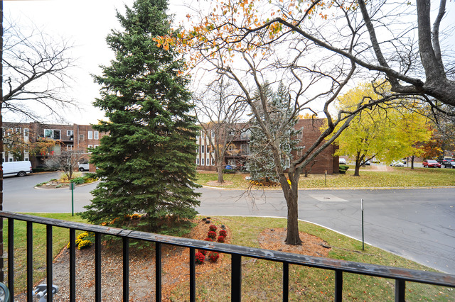 1430 Sandstone Dr #209, Wheeling, IL 60090 photo 10