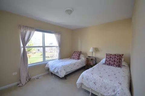 26661 Lindengate Cir, Plainfield, IL 60585 photo 23
