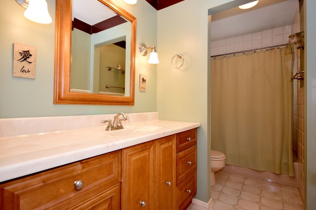 526 N Monarch Ln, Addison, IL 60101 photo 10