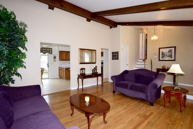 526 N Monarch Ln, Addison, IL 60101 photo 3