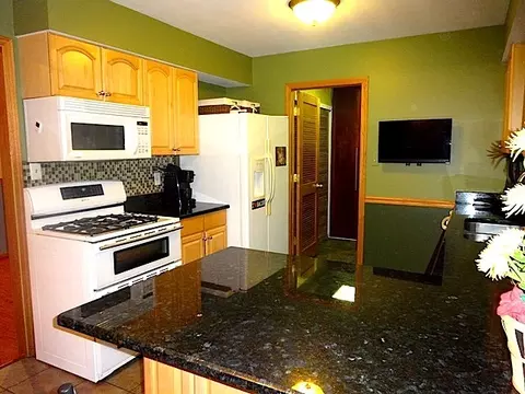 23334 W Leach Dr, Plainfield, IL 60586 photo 10
