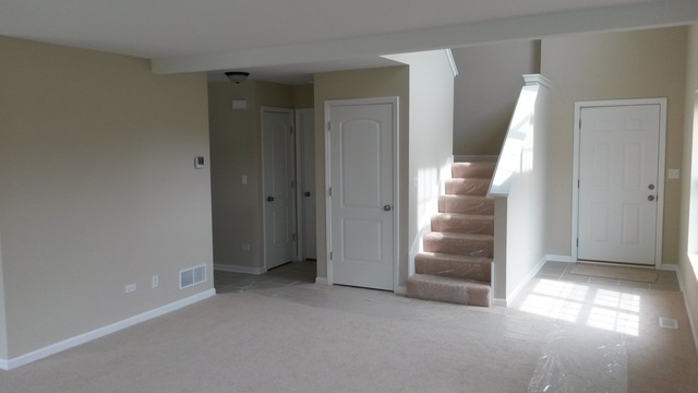 6013 W Ford Ct, Monee, IL 60449 photo 5