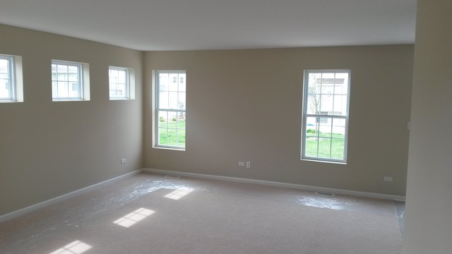 6013 W Ford Ct, Monee, IL 60449 photo 9