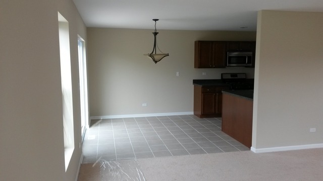 6013 W Ford Ct, Monee, IL 60449 photo 3