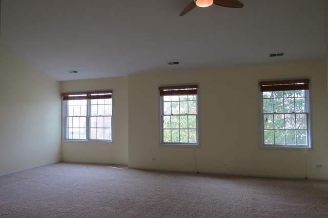 1271 Bison Ln, Hoffman Estates, IL 60192 photo 9