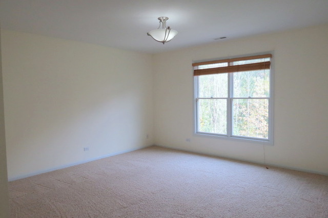 1271 Bison Ln, Hoffman Estates, IL 60192 photo 14
