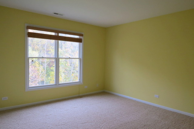 1271 Bison Ln, Hoffman Estates, IL 60192 photo 13
