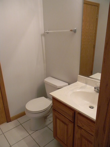13809 S Hickory Ln, Plainfield, IL 60544 photo 13
