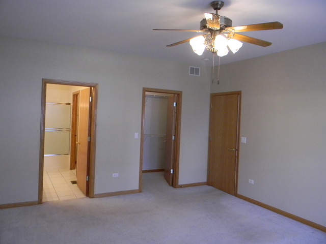 13809 S Hickory Ln, Plainfield, IL 60544 photo 10
