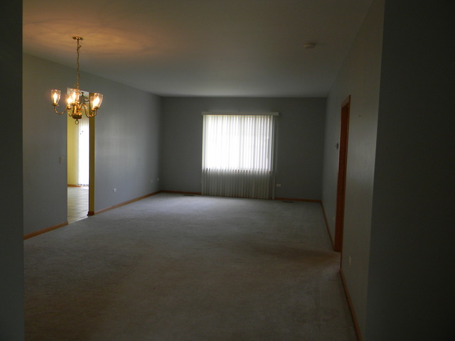 13809 S Hickory Ln, Plainfield, IL 60544 photo 6