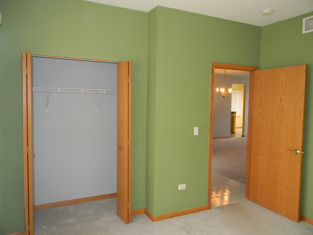 13809 S Hickory Ln, Plainfield, IL 60544 photo 3