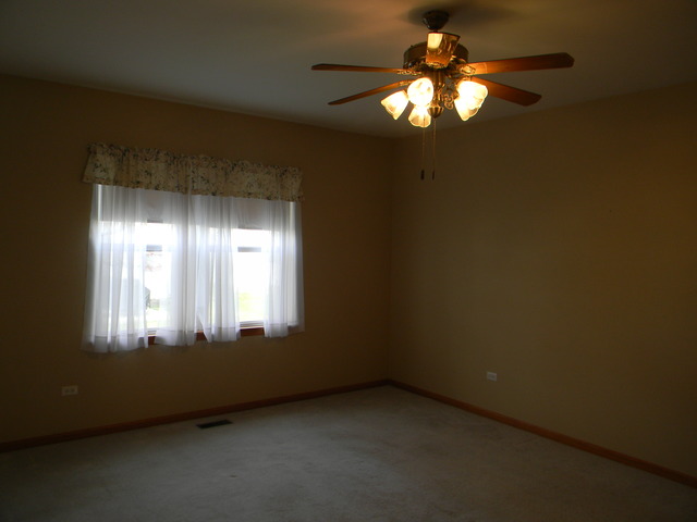 13809 S Hickory Ln, Plainfield, IL 60544 photo 9