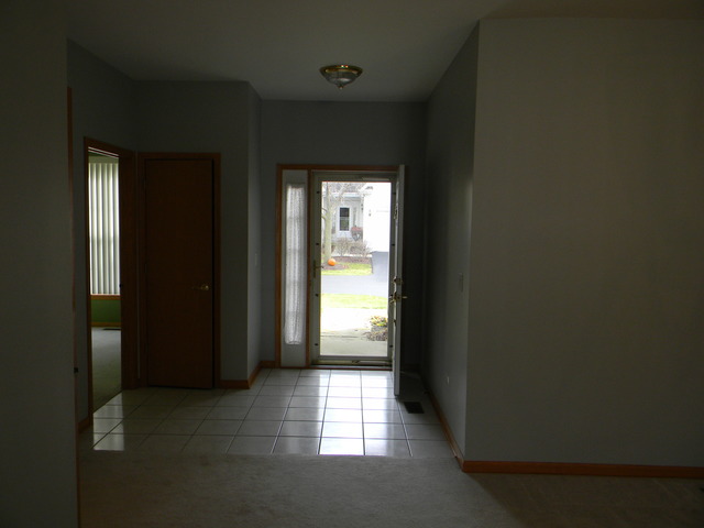 13809 S Hickory Ln, Plainfield, IL 60544 photo 5