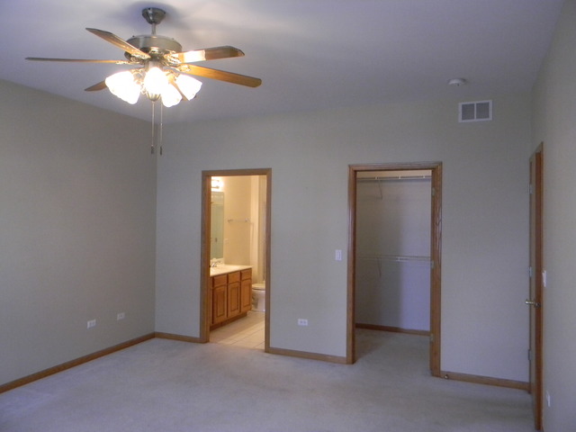 13809 S Hickory Ln, Plainfield, IL 60544 photo 11