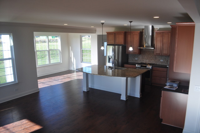 3687 Bellamere Ln, Elgin, IL 60124 photo 8