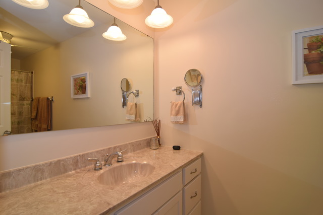 1261 Reading Ct, Wheaton, IL 60189 photo 8