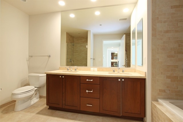 60 E Monroe St #5803, Chicago, IL 60603 photo 6