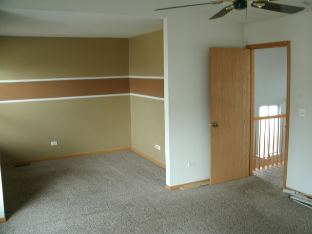 5433 Sugarloaf Ct, Plainfield, IL 60586 photo 4