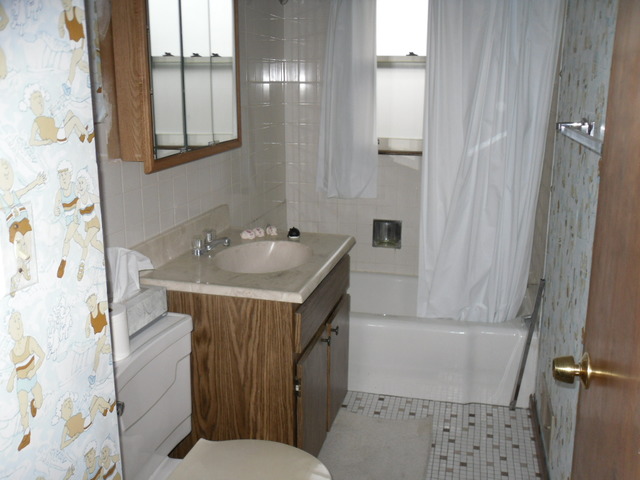3091 Patton Dr, Des Plaines, IL 60018 photo 10