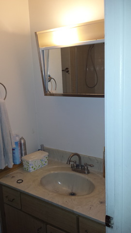 503 Mchenry Rd #1a, Wheeling, IL 60090 photo 9