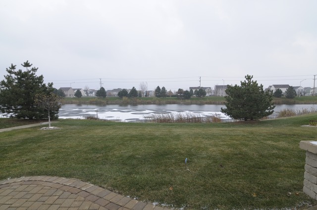 7316 Kenicott Ln, Plainfield, IL 60586 photo 20