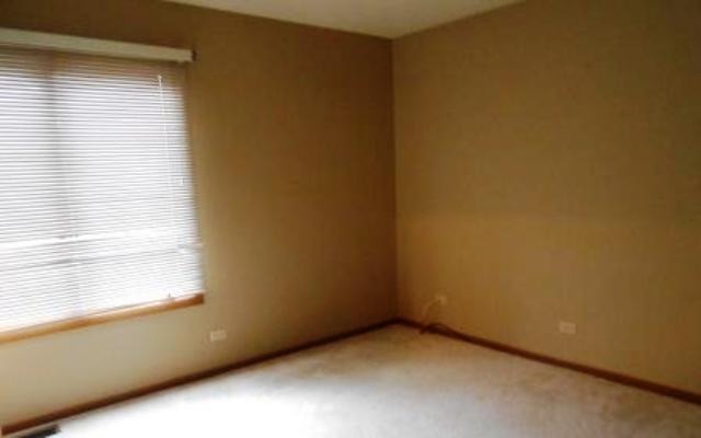 234 N Crest Ave, Bartlett, IL 60103 photo 6